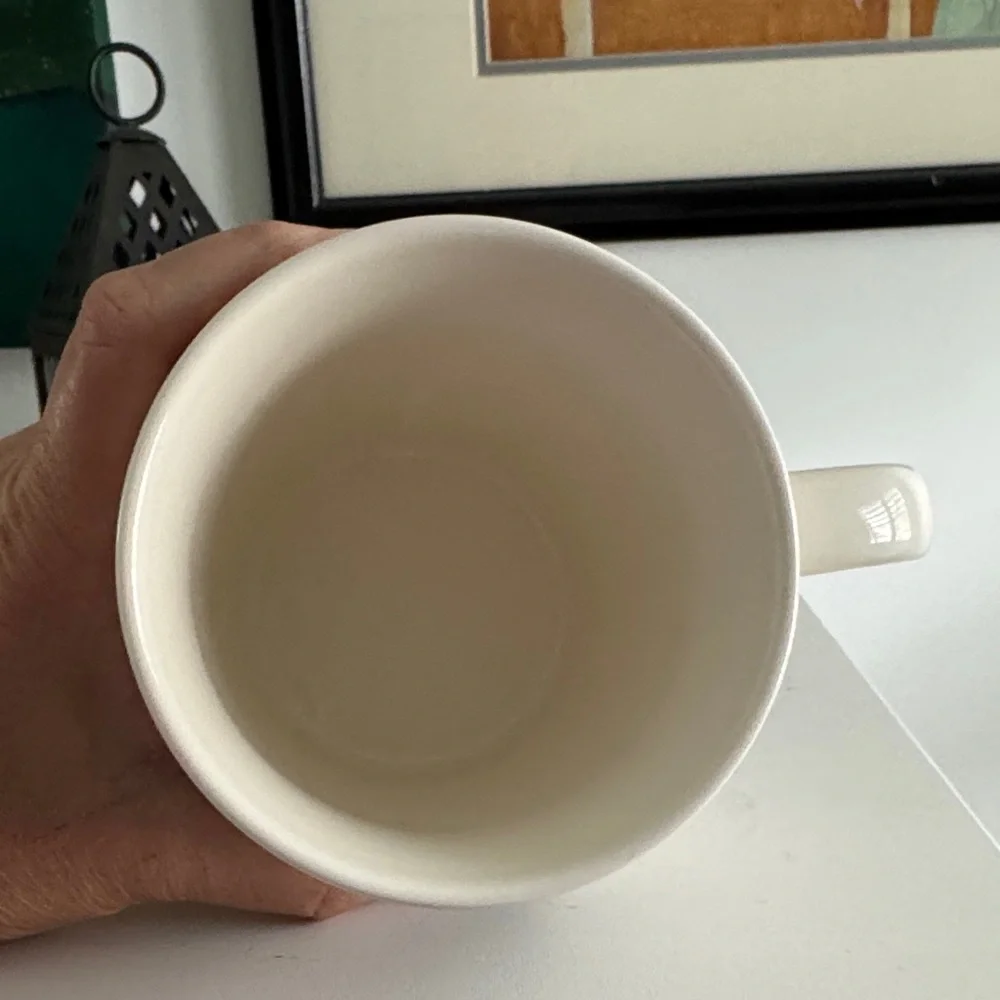 X Ray Vision Williams Rory Dobner Sonoma Oversized Coffee Mug